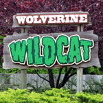 Wolverine Wildcat