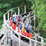 Rollo Coaster