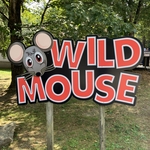 Wild Mouse