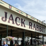 Jack Rabbit