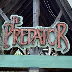 Predator
