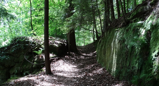 Wahkeena Nature Preserve