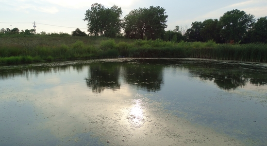 Scioto Audubon Metro Park