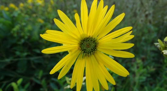 Scioto Audubon Metro Park