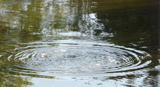 La Brea Tar Pits