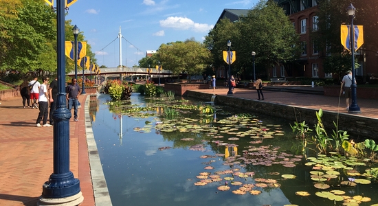 Carroll Creek Park