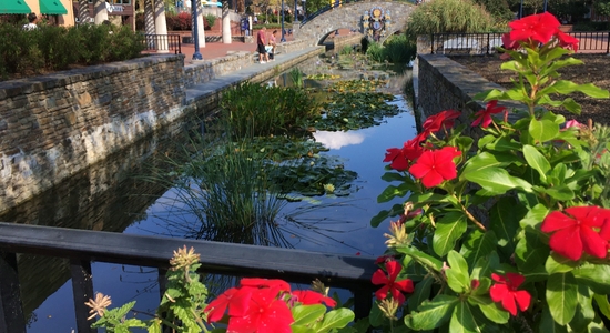 Carroll Creek Park