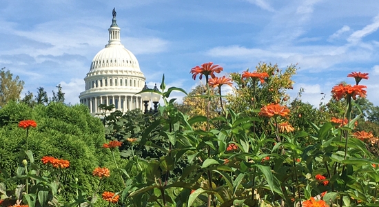 United States Botanic Garden