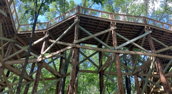 Canopy Walk