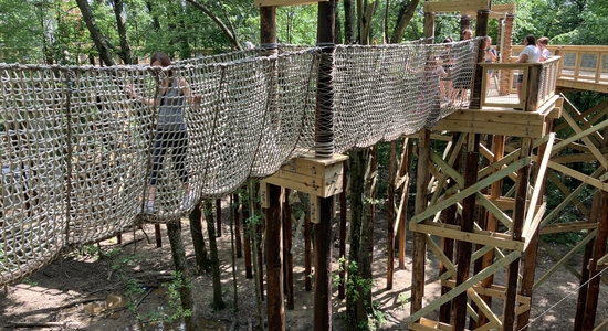 Canopy Walk