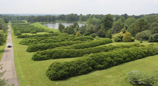 Hedge Letters