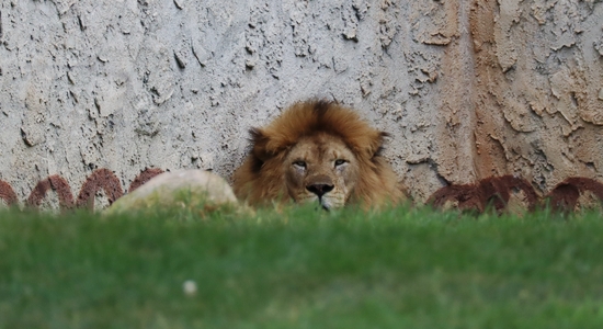 Columbus Zoo