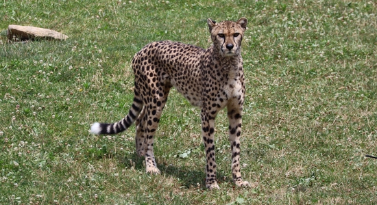 Columbus Zoo