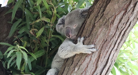 Columbus Zoo