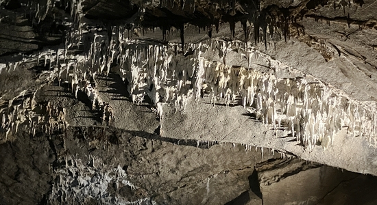 Penn's Cave