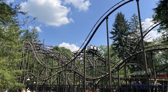 Wild Mouse