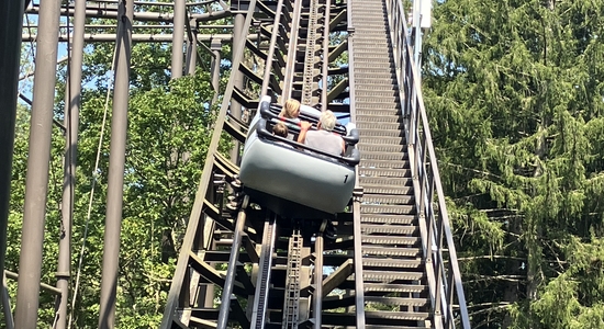 Wild Mouse