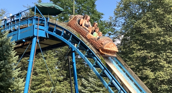 Loggin' Toboggan