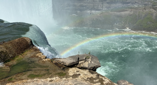Horseshoe Falls