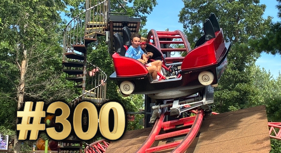 #300