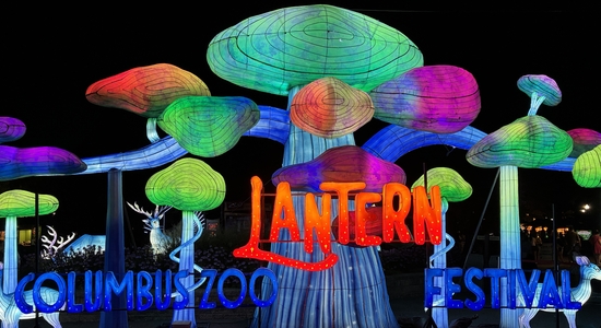Lantern Festival