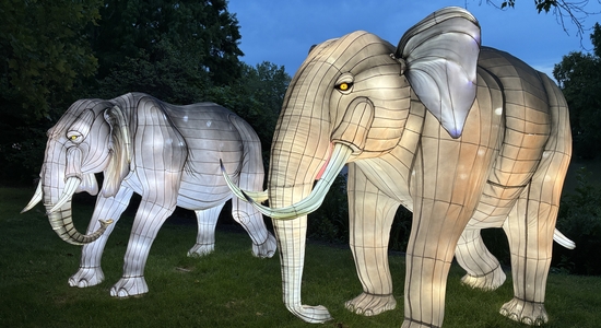 Lantern Festival