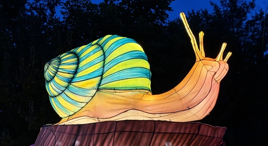 Lantern Festival