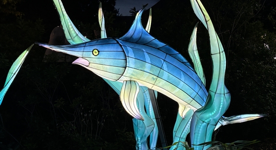 Lantern Festival