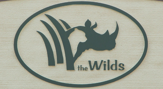 The Wilds