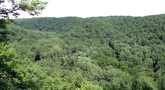 View from the gorge outlook