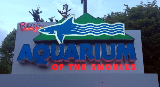 Ripley's Aquarium of the Smokies