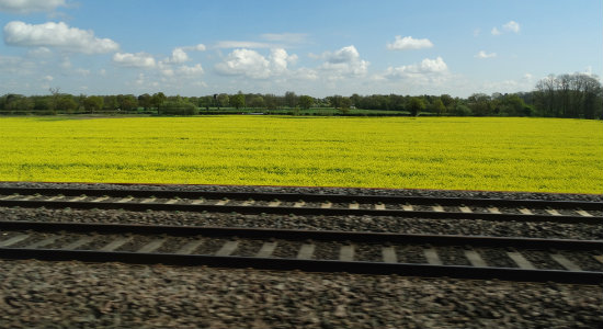 Train ride