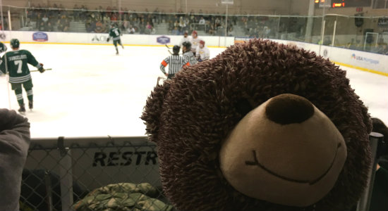 Teddy Bear Toss