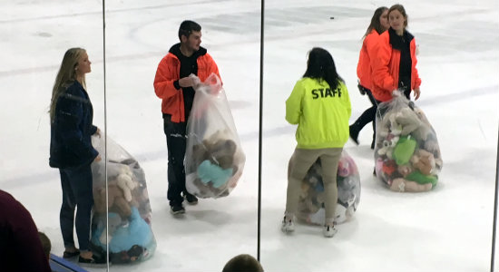 Teddy Bear Toss