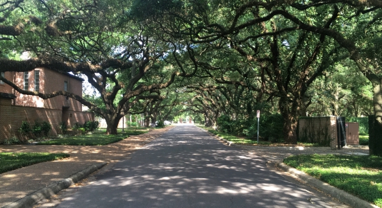 Rice University