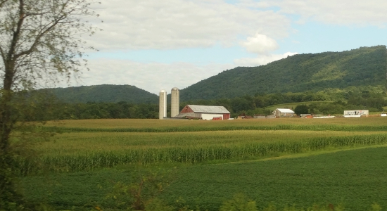 Farmland