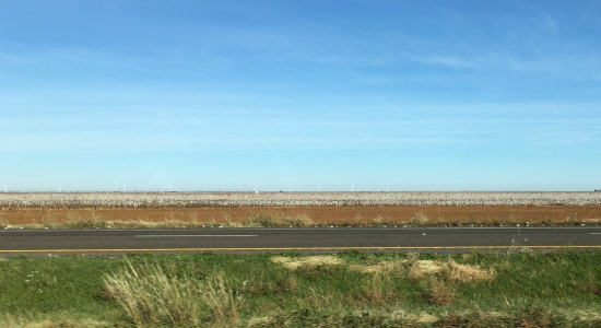 South Plains of Texas