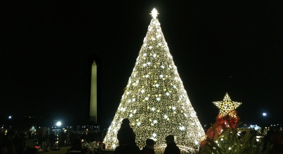 National Christmas Tree