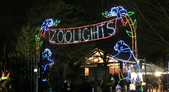 ZooLights