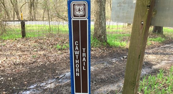 Cawthorn Trail