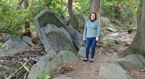 Theodore Roosevelt Island National Memorial