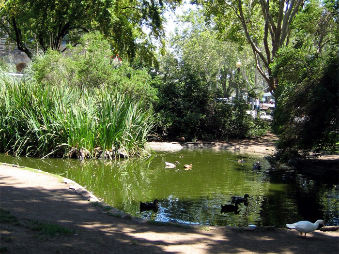Sonoma City Park