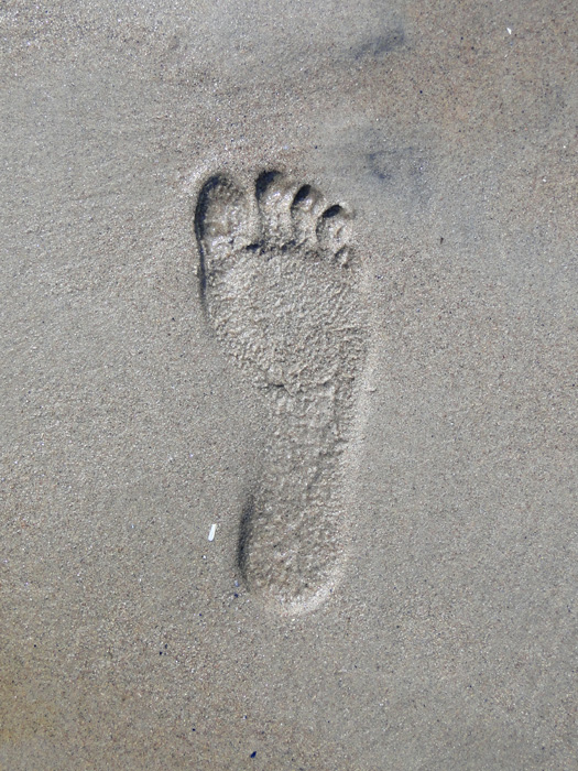 My Footprint