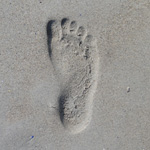Sarah's Footprint