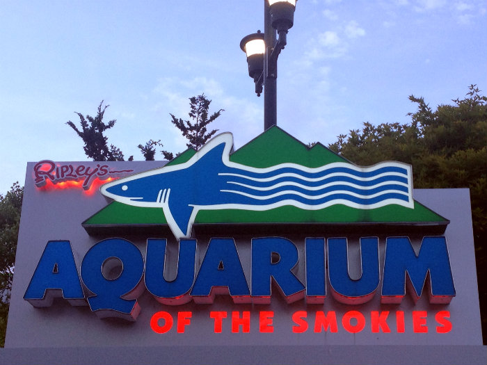 Aquarium of the Smokies