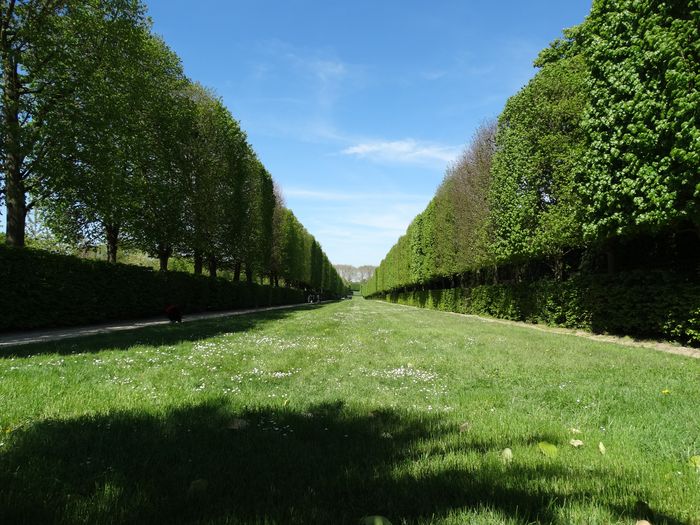Palace and Gardens of Versailles