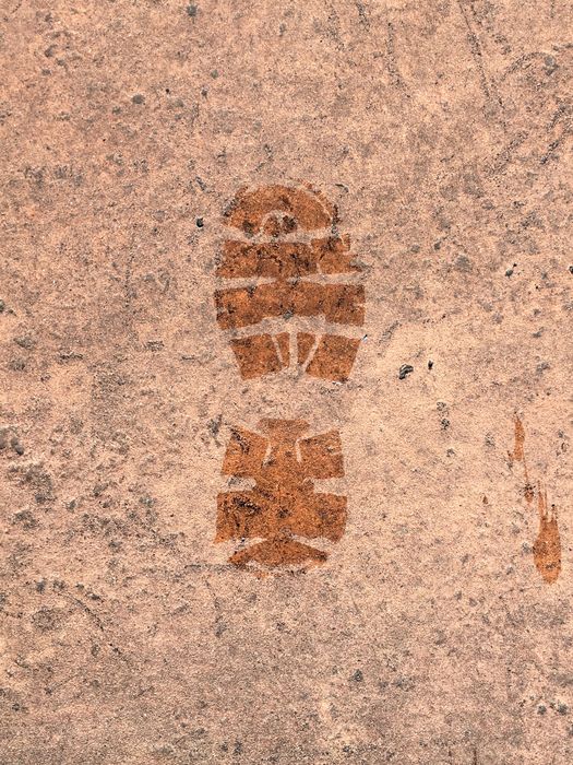 My Footprint