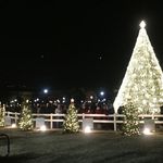 National Christmas Tree