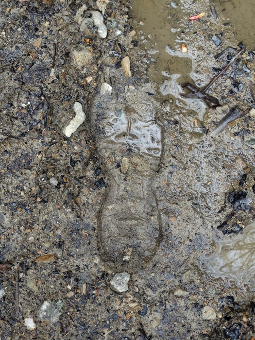 >My Footprint