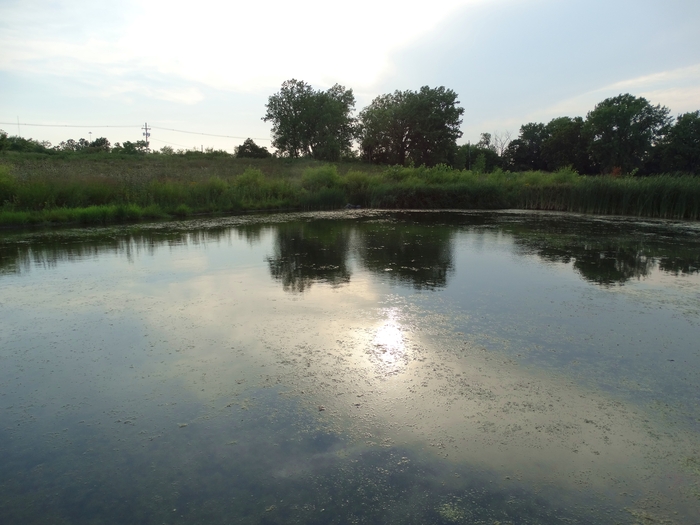 Scioto Audubon Metro Park